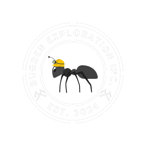 Bugden Exploration Inc.